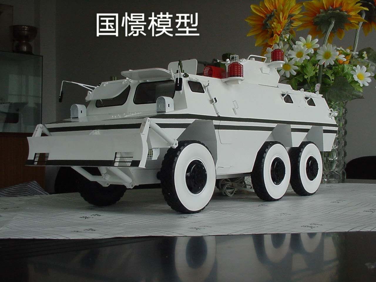 蒲县军事模型